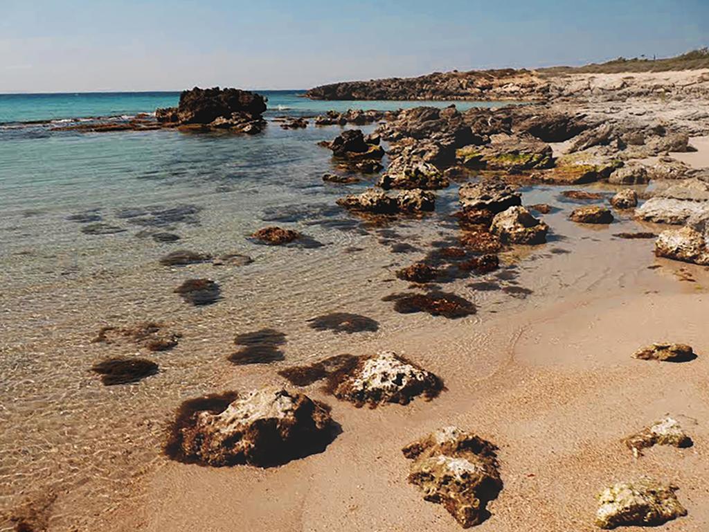Luxury Beach Villa Puglia Italy بولسانو المظهر الخارجي الصورة